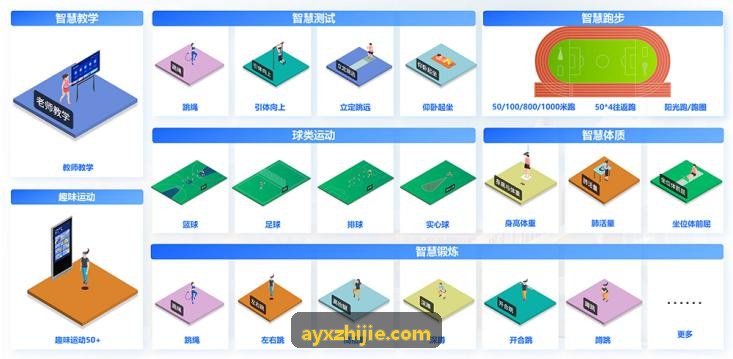 AYX现代小球空间占有率研究报告